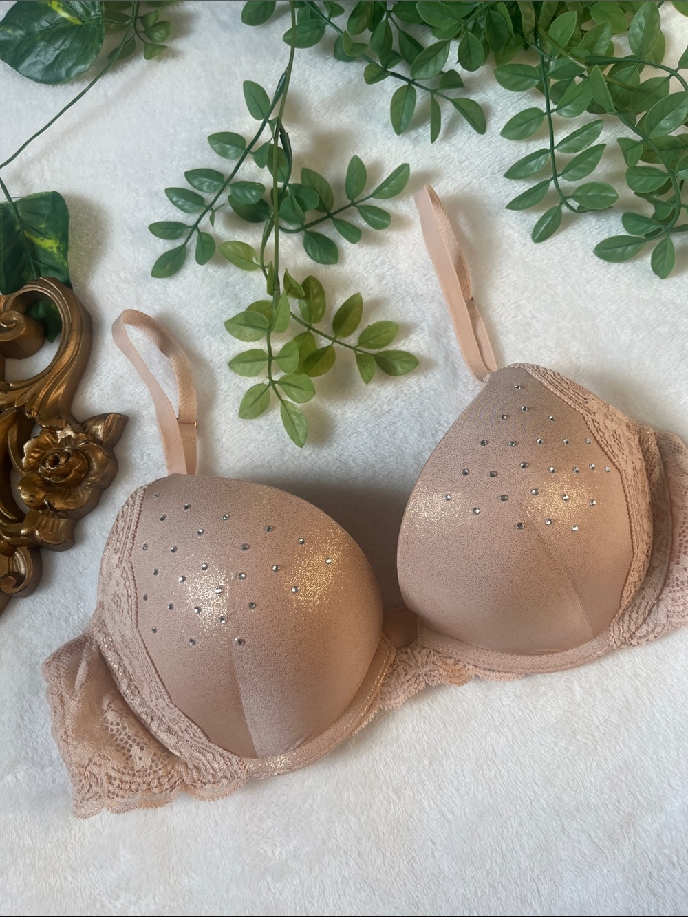 Victorias Secret Dream Angels Push Up Bra size 34C